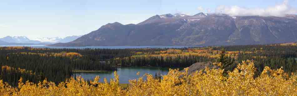 Fall along Atlin Lake