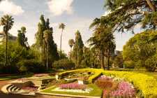 Auckland Park