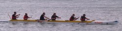 Whaka peddlers