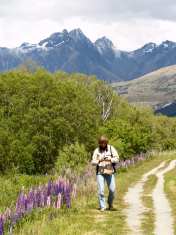 Wil in Glenorchy