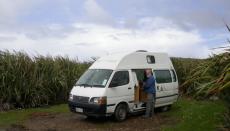 Curio Bay campsite