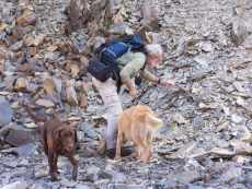 geologist Hein