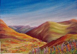 Arctic Meadows