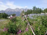 The Fence and the Mountain